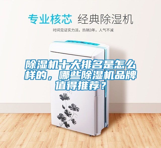 除濕機十大排名是怎么樣的，哪些除濕機品牌值得推薦？