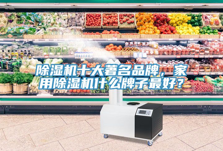 除濕機十大著名品牌，家用除濕機什么牌子最好？