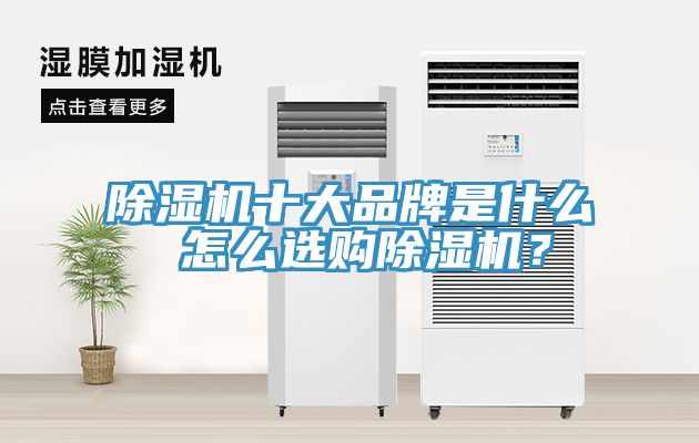 除濕機(jī)十大品牌是什么 怎么選購除濕機(jī)？