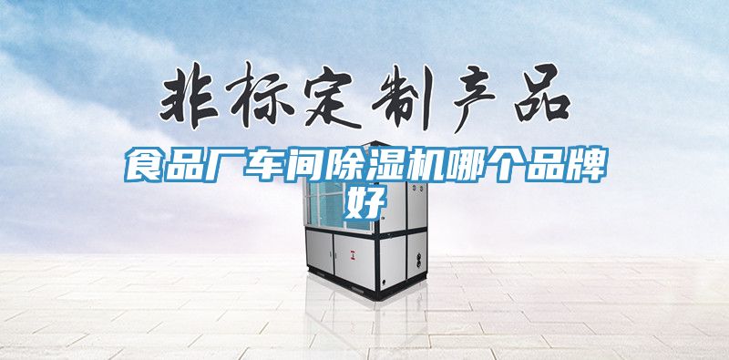 食品廠車(chē)間除濕機(jī)哪個(gè)品牌好