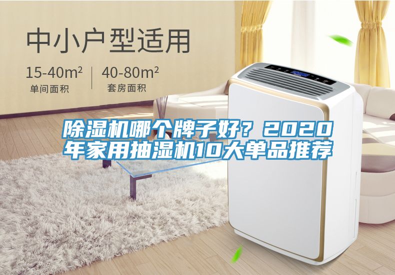 除濕機哪個牌子好？2020年家用抽濕機10大單品推薦