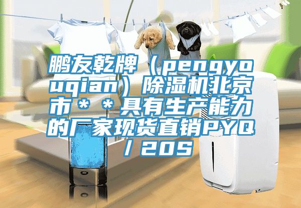 鵬友乾牌（pengyouqian）除濕機北京市＊＊具有生產能力的廠家現(xiàn)貨直銷PYQ／20S