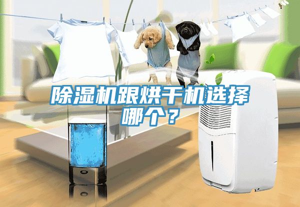 除濕機跟烘干機選擇哪個？