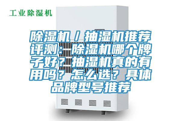 除濕機／抽濕機推薦評測：除濕機哪個牌子好？抽濕機真的有用嗎？怎么選？具體品牌型號推薦