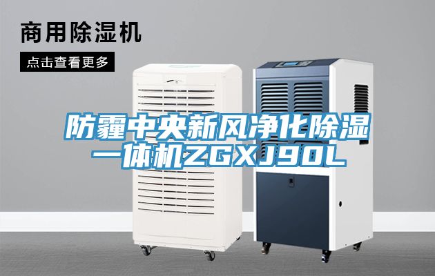 防霾中央新風(fēng)凈化除濕一體機ZGXJ90L