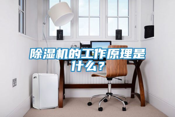 除濕機的工作原理是什么？