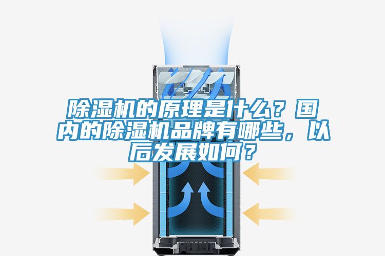 除濕機的原理是什么？國內(nèi)的除濕機品牌有哪些，以后發(fā)展如何？