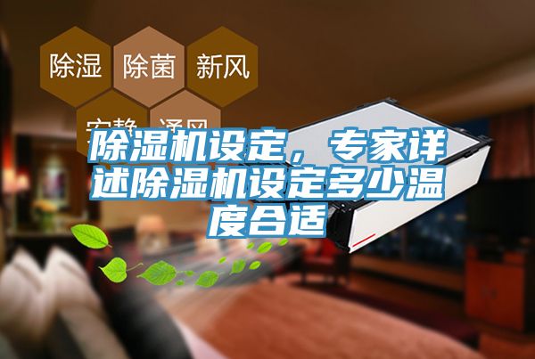 除濕機設(shè)定，專家詳述除濕機設(shè)定多少溫度合適