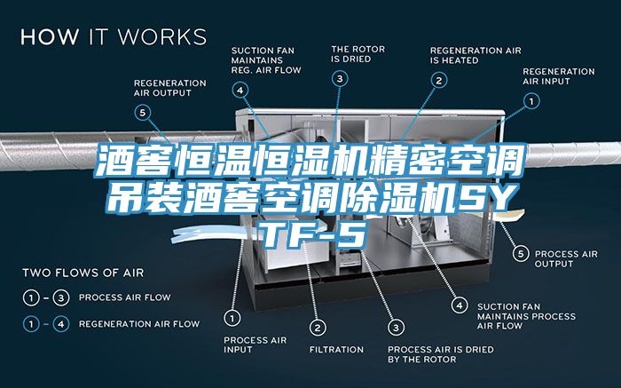 酒窖恒溫恒濕機精密空調吊裝酒窖空調除濕機SYTF-5