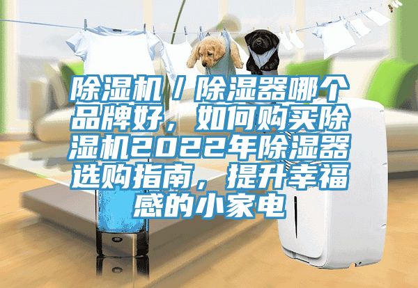 除濕機／除濕器哪個品牌好，如何購買除濕機2022年除濕器選購指南，提升幸福感的小家電